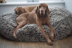 044_©_www_zweischrittweiter_at