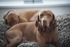 045_©_www_zweischrittweiter_at