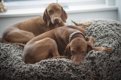 046_©_www_zweischrittweiter_at