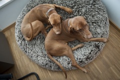 048_©_www_zweischrittweiter_at