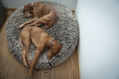 180_©_www_zweischrittweiter_at