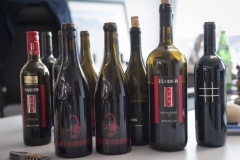 656_©_www_zweischrittweiter_at