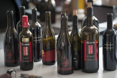 657_©_www_zweischrittweiter_at