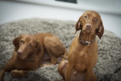 796_©_www_zweischrittweiter_at