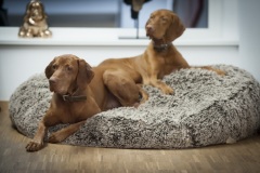 797_©_www_zweischrittweiter_at